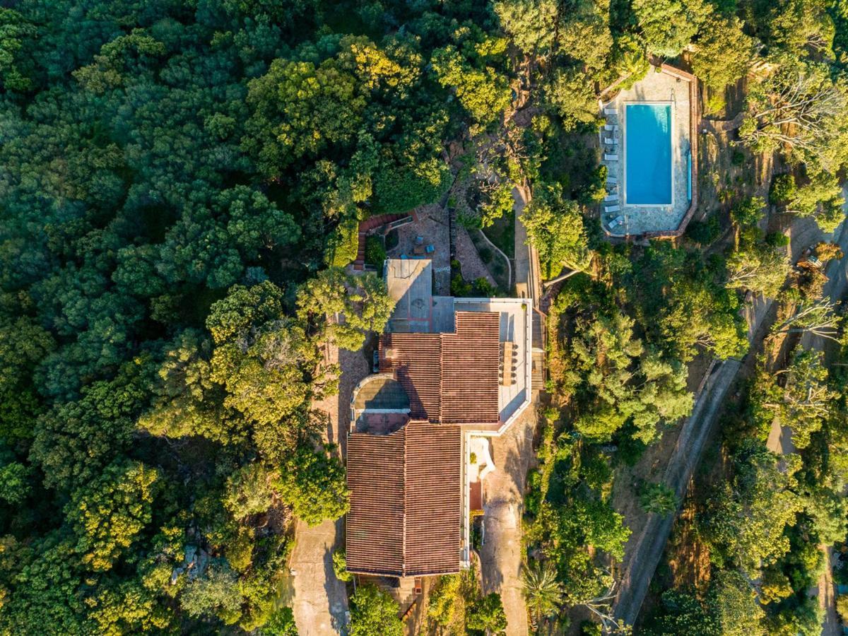 Villa L'Arbousiere بورتو فيكشْيو المظهر الخارجي الصورة