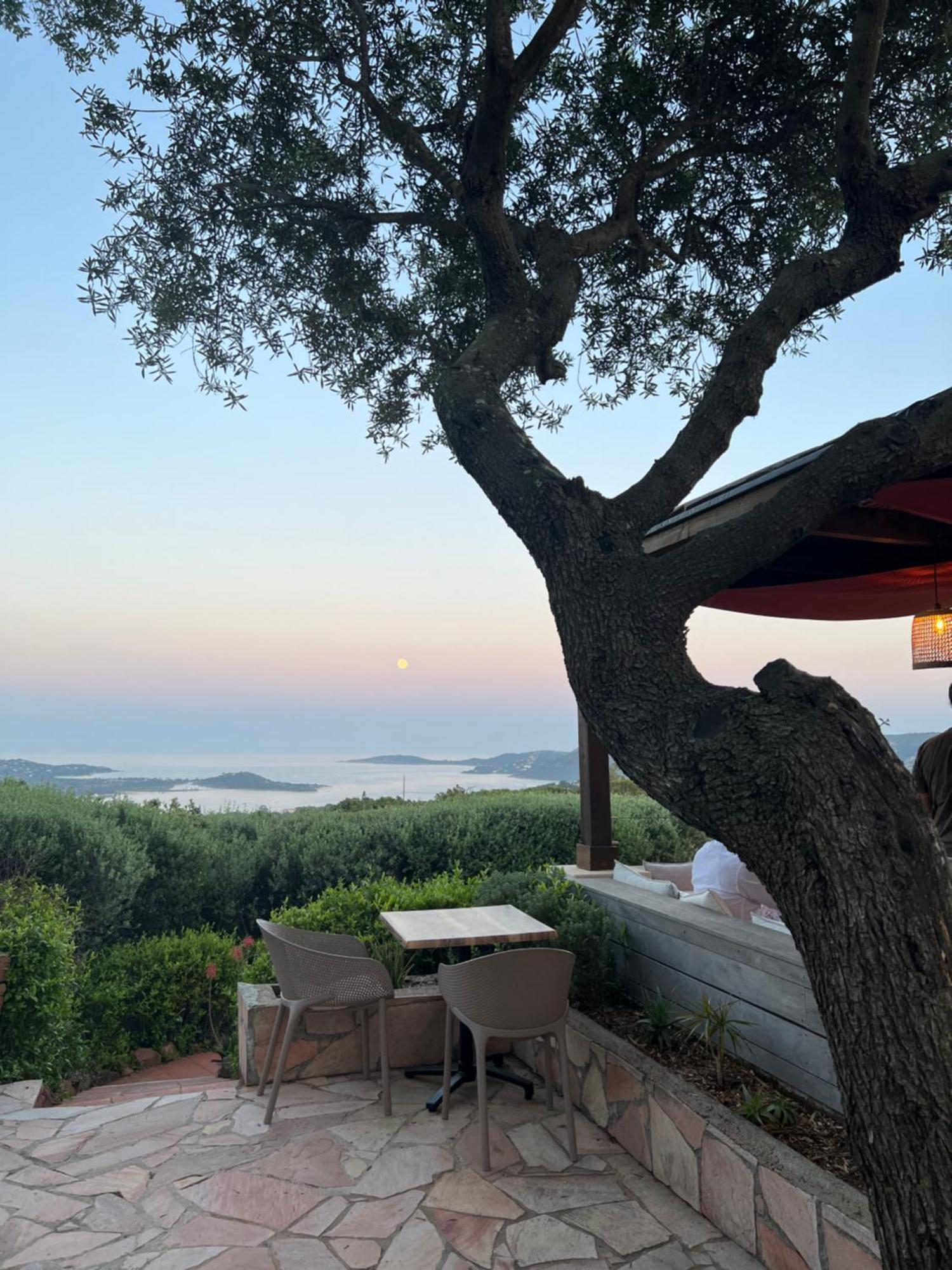 Villa L'Arbousiere بورتو فيكشْيو المظهر الخارجي الصورة